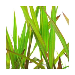 iR쑐jxjtqAVigPji1|bgjixԁj