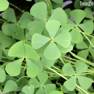 iR쑐jiSNfW\Ei썑cji1|bgjixԁj