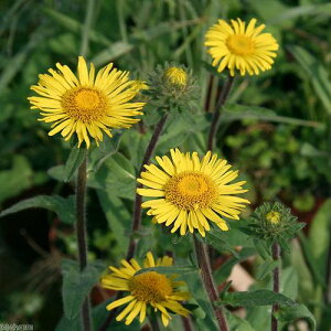 iR쑐j~YMNiej@3i1|bgjixԁj