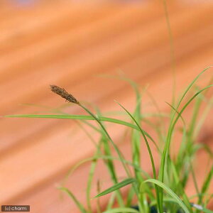 iR쑐jR^kLiKji1|bgjixԁj