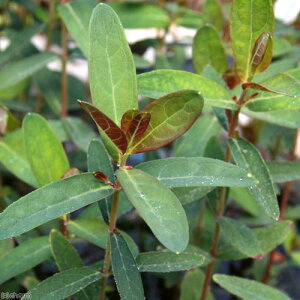 iR쑐j~YIgM\Eiؑj3i3|bgjixԁj