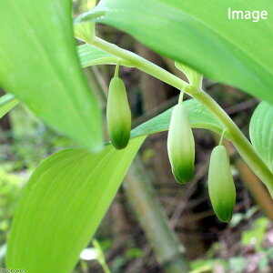 iR쑐jA}hRiÖVjixj@3`i1|bgjixԁj