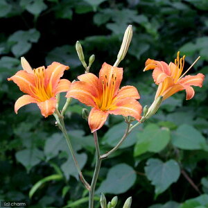 iR쑐jmJ]Ei슞j@3D5i1|bgjixԁj