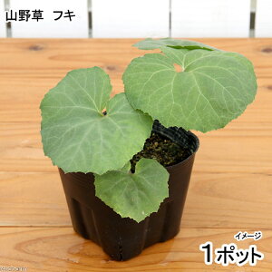 iR쑐jR؁@tLij@3`4@i1|bgj@ƒ؉ixԁj