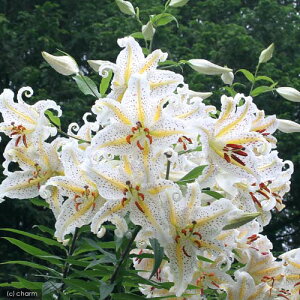 iR쑐jiSj}iRSj3`4i1|bgjixԁj