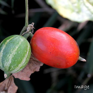 iR쑐jJXEiGZjc@2D5`3i1|bgjixԁj