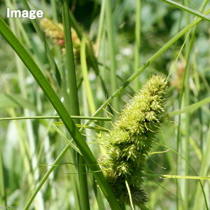 iR쑐j~RVKi`j@3i1|bgjixԁj