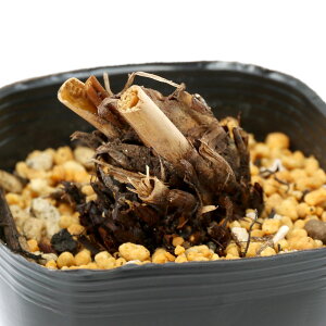 iR쑐jV_irj[}CiNj3i1|bgjƒ؉@R؁@hixԁj