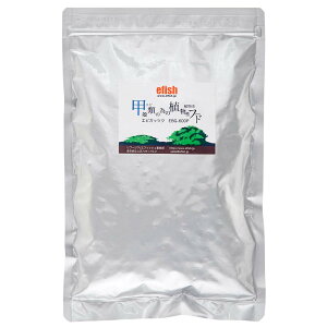 GtBbV@GrKbcN@bkނ̂߂̐At[h@600ml@EBG|600P@Gr@r[Vv@GT@֓