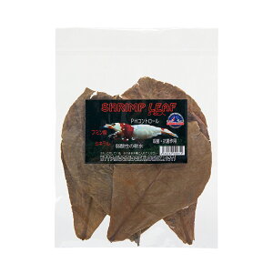 [t@5@pH@_@@Gr@@֓