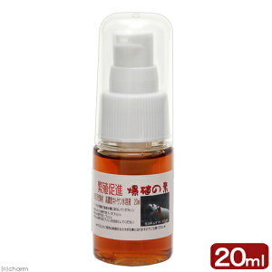 ɐBi@Vvp@B̑f@20ml@ZxLgTt@Vv@Y܁@Gr@@֓