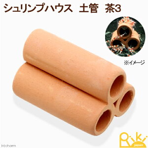 VvnEX@yǁ@3@r[VvpVF^[@֓