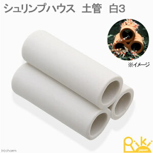 VvnEX@yǁ@3@r[VvpVF^[@֓