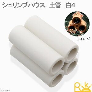 VvnEX@yǁ@4@r[VvpVF^[@֓