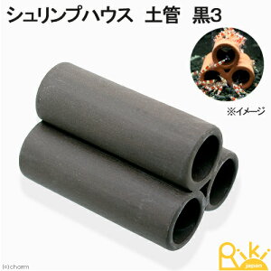 VvnEX@yǁ@3@r[VvpVF^[@֓