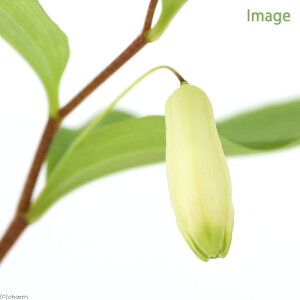 iR쑐jjO`\Eikj@3i1|bgjixԁj