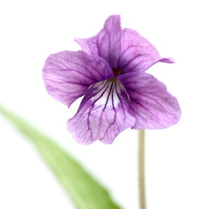 iR쑐jX~i俁jmWX~iH俁j2D5`3i1|bgjixԁj