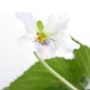 iR쑐jX~i俁jqJQX~iA俁j2D5`3i1|bgjixԁj