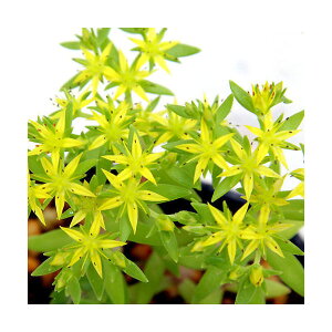 iR쑐jc}lOTiNj@3i3|bgZbgjixԁj