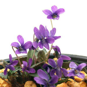 iR쑐jX~i俁jqX~iP俁j@2D5`3i1|bgjixԁj