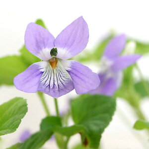 iR쑐jX~i俁jII^`c{X~i嗧俁j2D5`3i1|bgjixԁj