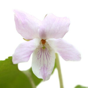 iR쑐jX~i俁jqiX~i俁j2D5`3i3|bgZbgjixԁj