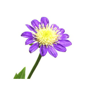 iR쑐jLNiej~RXisYj@ԐF܂@3i1|bgjixԁj