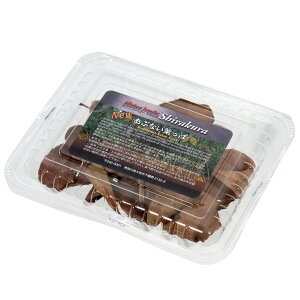 VN@NEWԂȂtρ@1pbNi4gj@}WbN[t@^}i@Gr@@֓