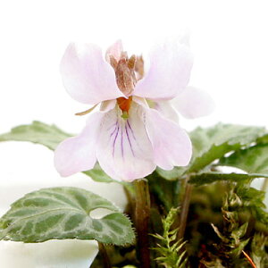 iR쑐jX~i俁jqiX~i俁j2D5`3i1|bgjixԁj