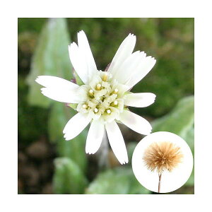 iR쑐jZ{i{j@3i1|bgjixԁj