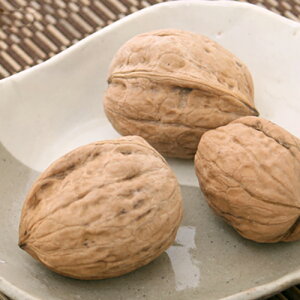 쌧Y@kt@Ȃ̂݁@3@USAYAMA@̂@@nX^[@Y@Y@F@֓