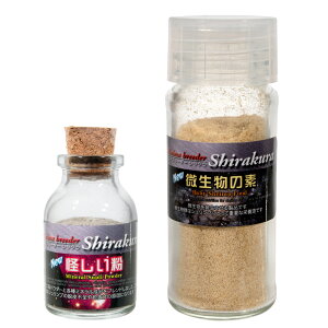 VN@{̑f@rZbg@Gr@@oNeA@r[Vv@֓