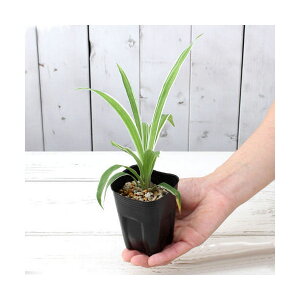 iR쑐j^Kl\EiSj@2D5`3i1|bgjixԁj