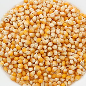 Y@Ƃ낱@X@|bv@80g@p̂@Y@F@֓