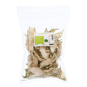 Y@ubR[̌s@70g@̂@@nX^[@Y@F@֓