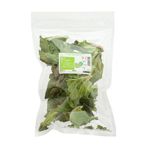 Y@Lxc@30g@̂@@nX^[@Y@Y@F@֓