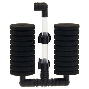 LSS@{́@NanoX|WtB^[@LS|60@GA[V@֓