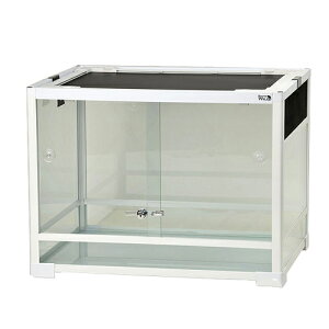 ঒ރP[W@OW@peI@zCg@WH6045i60D5×45D5×45cmj@ll1_@֓