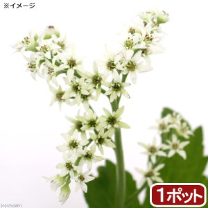 iR쑐j^`E\EiOj@3i1|bgjixԁj