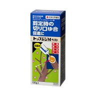 住友化学園芸　トップジンMペースト　100g　樹木　果樹　傷口　病原菌予防　殺菌剤　関東当日便