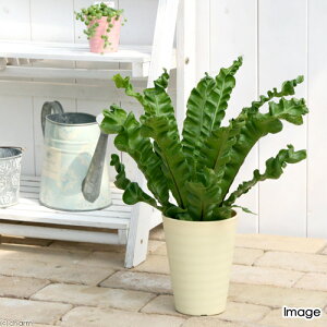 iϗtAjV_@AXvjE@vJ[c@AJL@4i1j