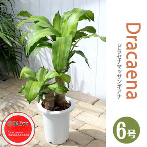 iϗtAjhZi@}bTQAiiK̖؁j2`3{A@6i1j