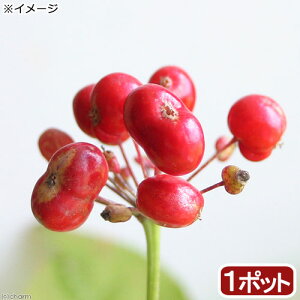 iR쑐jg`ojWiȗtlQj@3i1|bgj@ƒ؉ixԁj