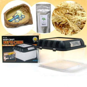 cmKGZbg@verDî݁j@JG@֓