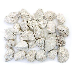 ^ߍY@΃TS@1L@嗱^Cv@JVEAN^[pfBA@ށ@@֓