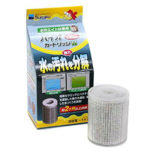 @GCg@Mp@oCIJ[gbWM×5@֓