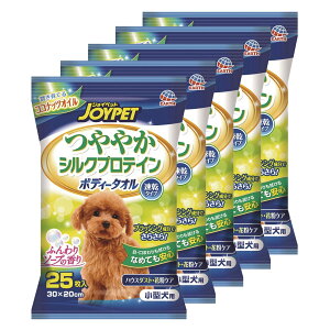 WCybg@₩VNveC@{fB[^I@^p@25×5@֓