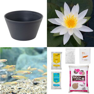 irIg[vji߂jSҌ@@ňĂ@_JZbgiO[jѐXC{Ђ߂6C@t@{Bl@Zbg