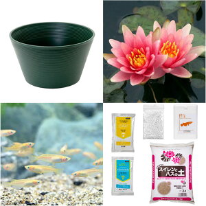 irIg[vji߂jSҌ@@ňĂ@_JZbgiO[jPXC{Ђ߂6C@t@{Bl@Zbg