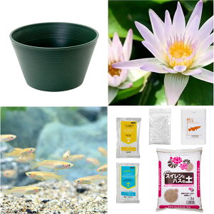 irIg[vji߂jSҌ@@ňĂ@_JZbgiO[jMѐXCWsN{Ђ߂@t@{Bl